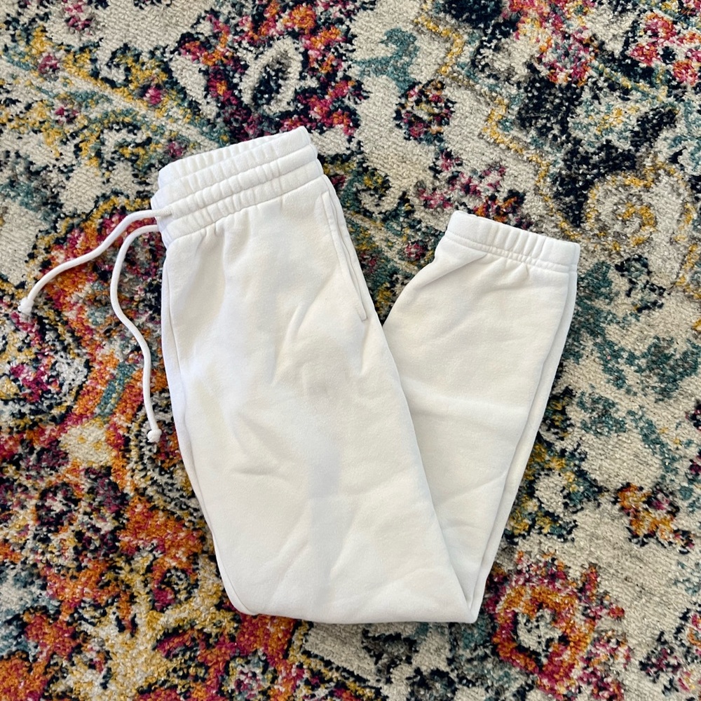 Aritzia TNA sweatpants